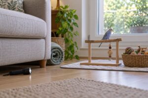 how to bird proof a room before letting a bird out