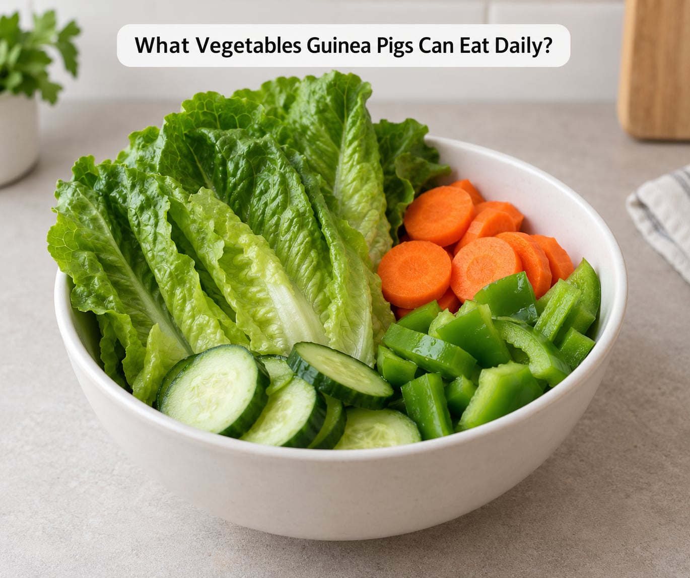 What Vegetables Guinea Pigs Can Eat Daily?